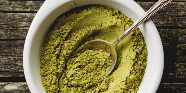 Strain of the week.....is the Juggernaut Green MALAY!