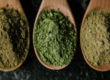 Introducing our new house blends!!!